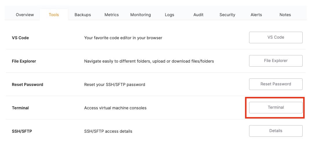 Accessing the terminal from the Elestio dashboard