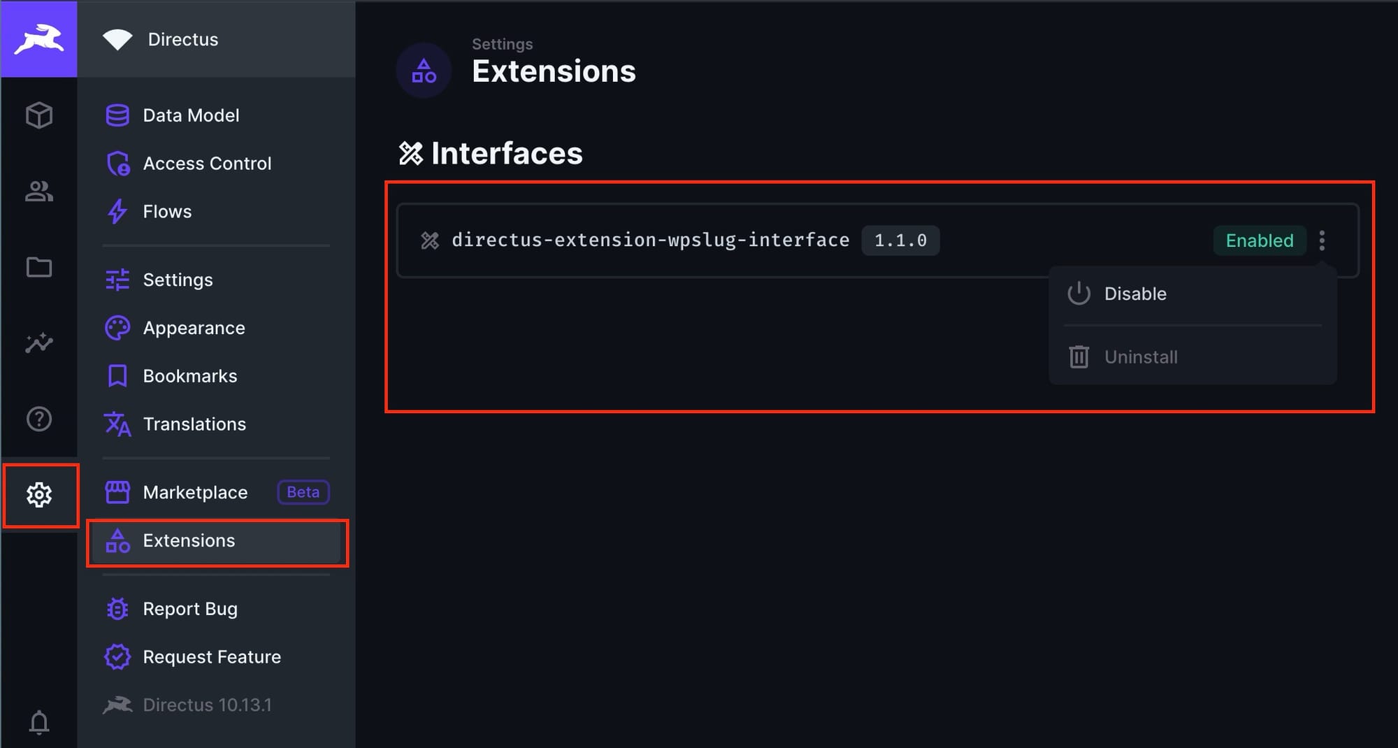 Extensions options in Directus