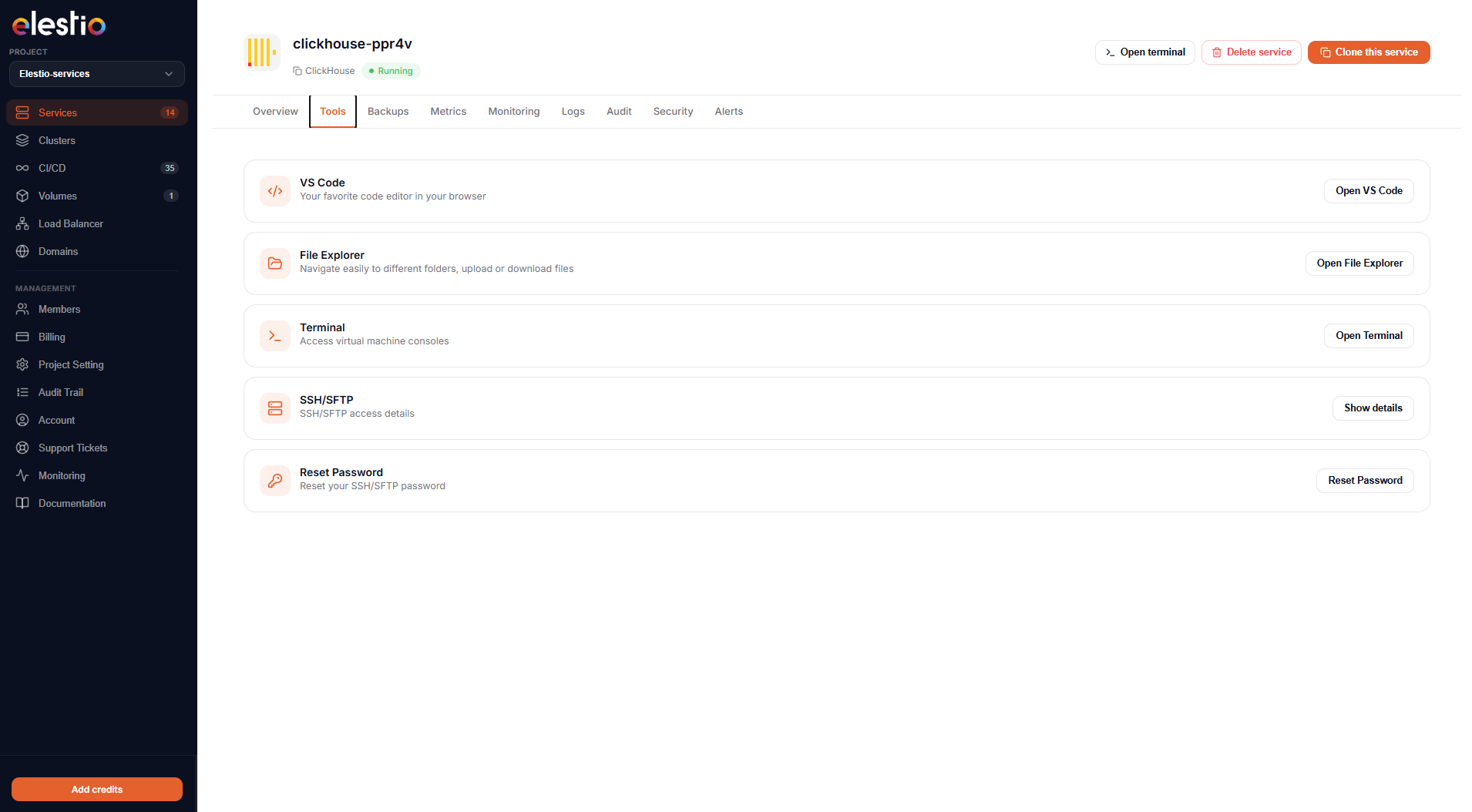 The new Tools tab consolidating VS Code, File Explorer, Terminal, SSH/SFTP, and Reset Password in one place