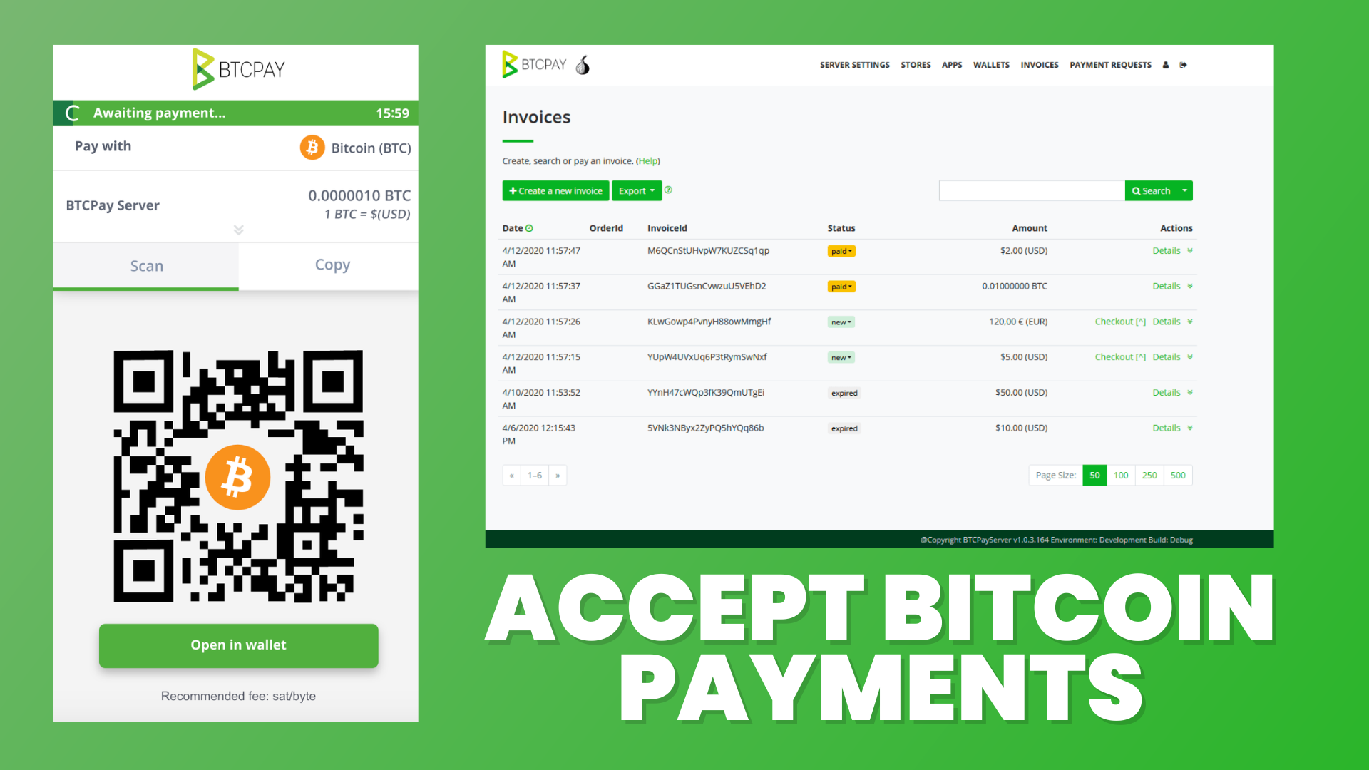 BTCPay Server: Accept Bitcoin Payments without fees