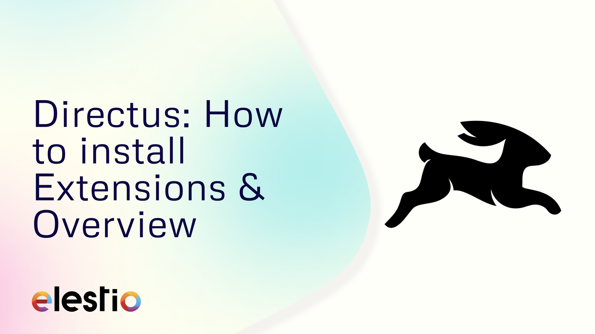 Directus: How to install Extensions & Overview