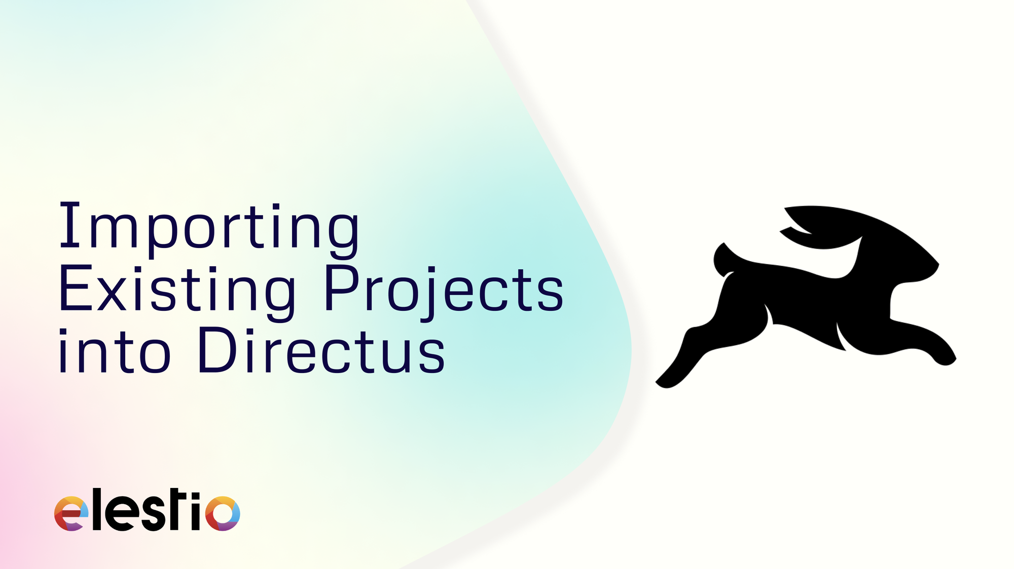 Importing Existing Projects into Directus