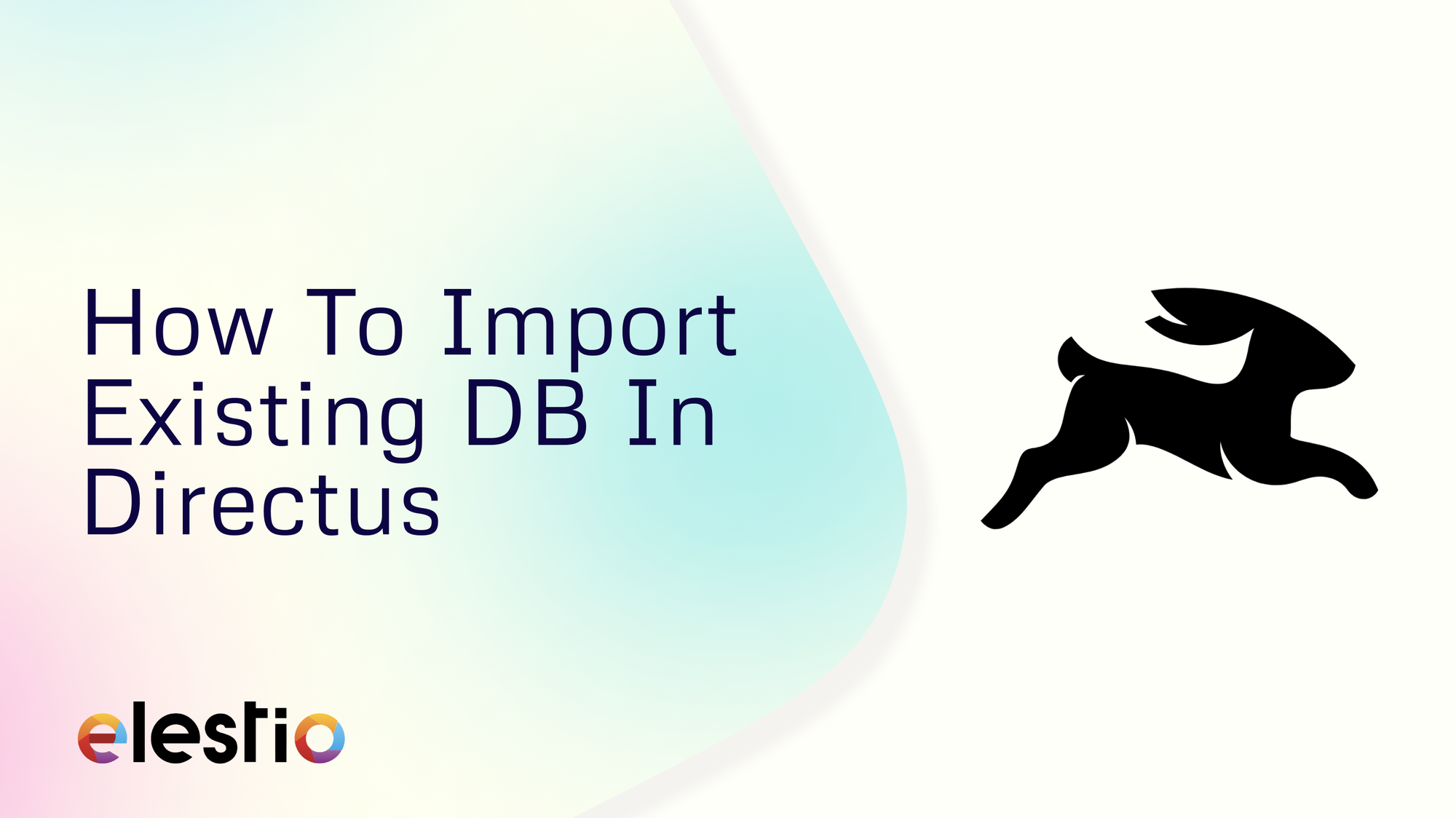 How To Import Existing DB In Directus