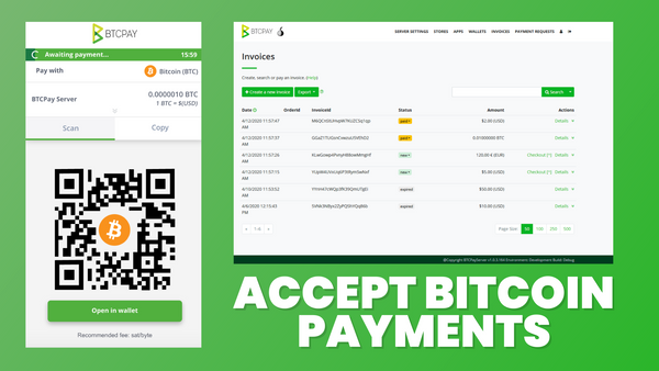BTCPay Server: Accept Bitcoin Payments without fees