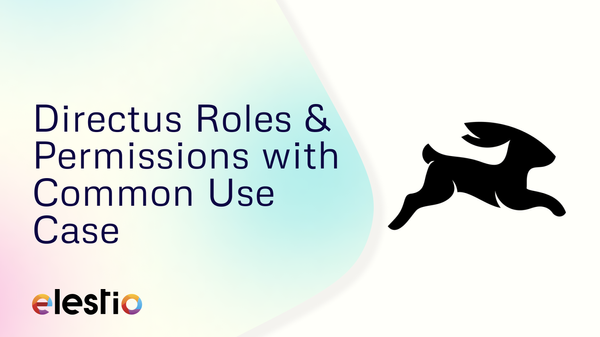 Directus Roles & Permissions with Common Use Case