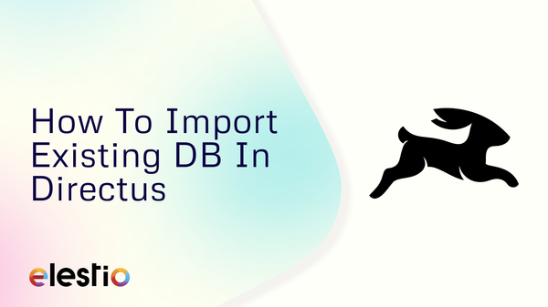 How To Import Existing DB In Directus